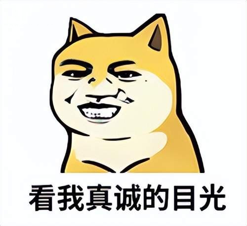 e225add8240d4a5689362e7e7825899c~tplv-tt-shrink:640:0.image.jpg